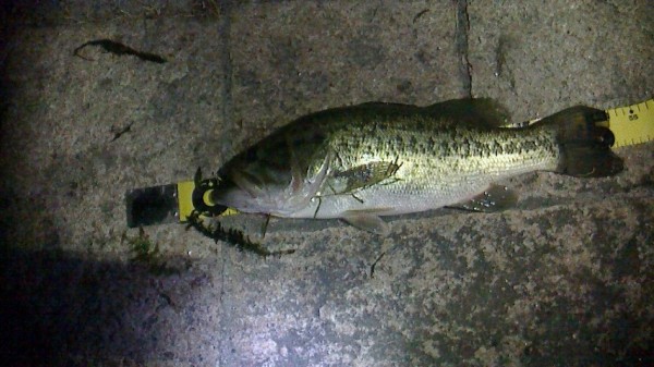 琵琶湖8.6　浜大津52ＣＭ